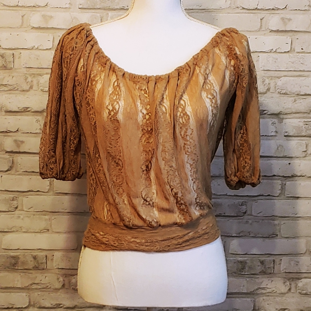 Poof! Lace Shirt, Sheer Cropped Top